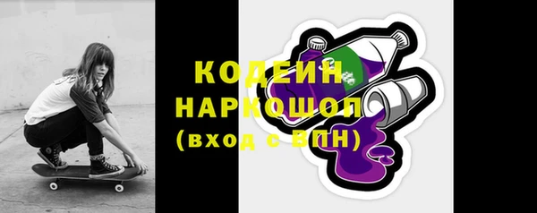 ECSTASY Пересвет