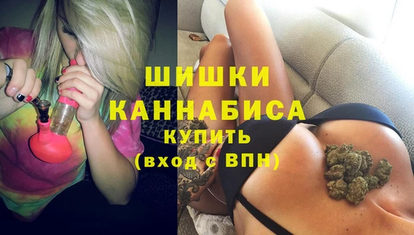 ECSTASY Пересвет
