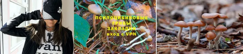 Псилоцибиновые грибы мухоморы  Бавлы 