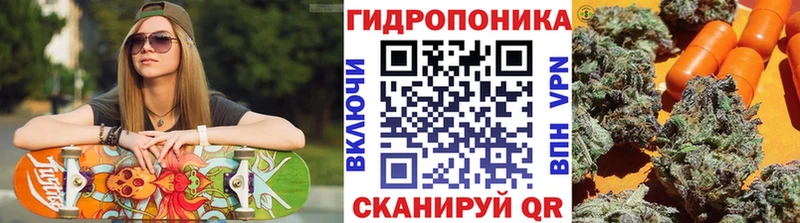 omg зеркало  Бавлы  Канабис SATIVA & INDICA 
